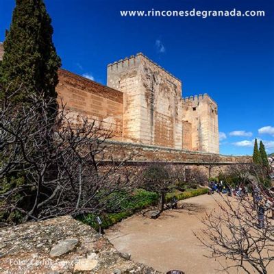  Zambra de la Alcazaba - Lời gọi mê hoặc của flamenco kết hợp với nhịp điệu sôi động của Andalusia